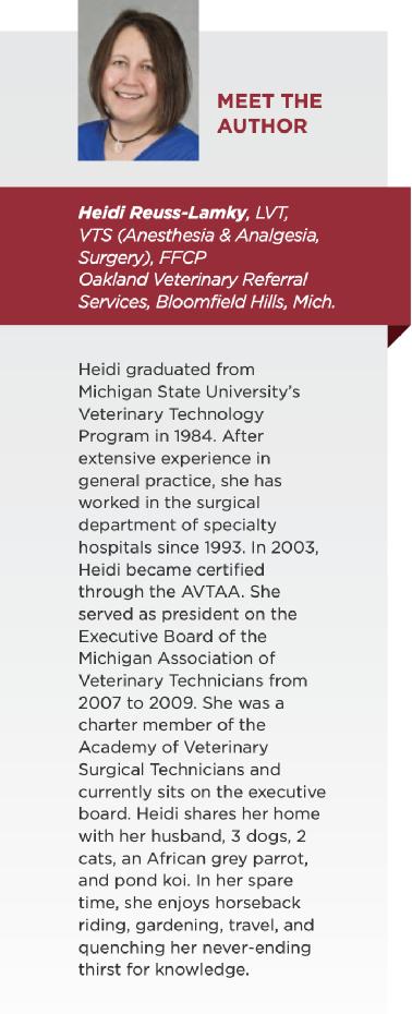 小动物的手术麻醉,小动物注射麻醉常用药