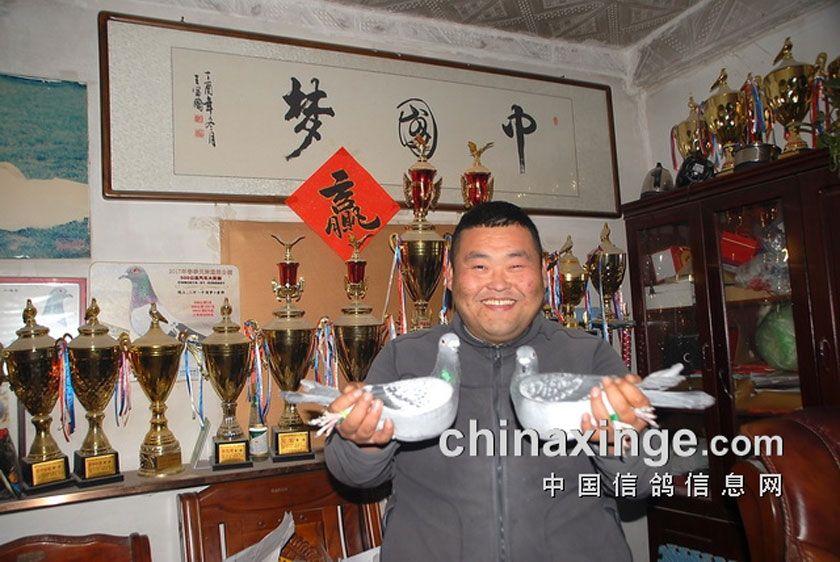 中国鸽界,鸽界的那些事