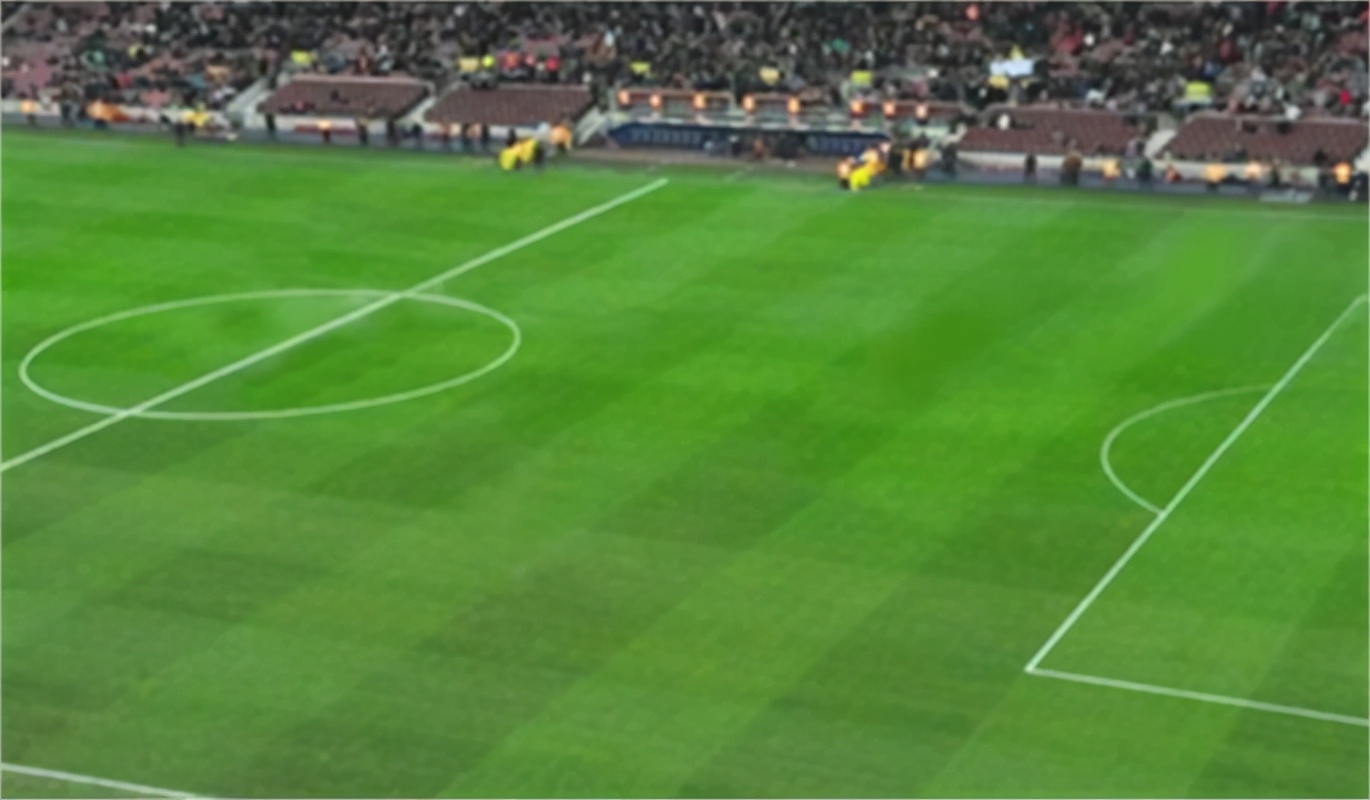 足球场地草坪颜色深浅,足球场地草坪为什么深浅不一