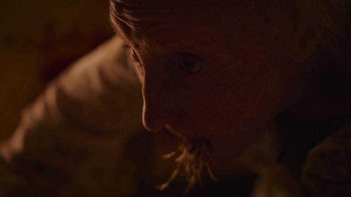 开年第一爆款,开年第一单品推荐