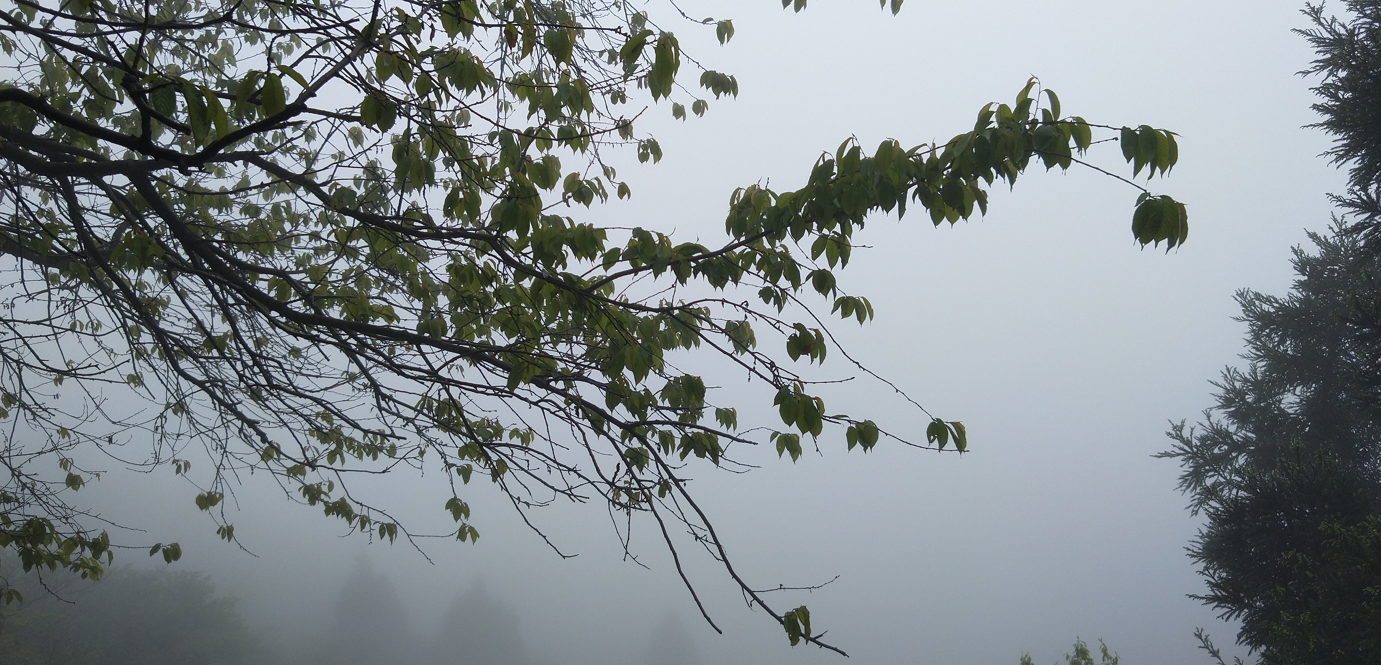 衡阳旅游攻略穷游团,穷游中国124天自驾游