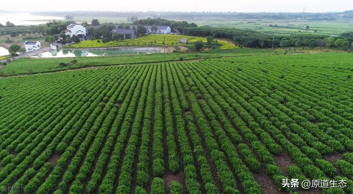 家庭农场项目如何申报,家庭农场扶持资金申请