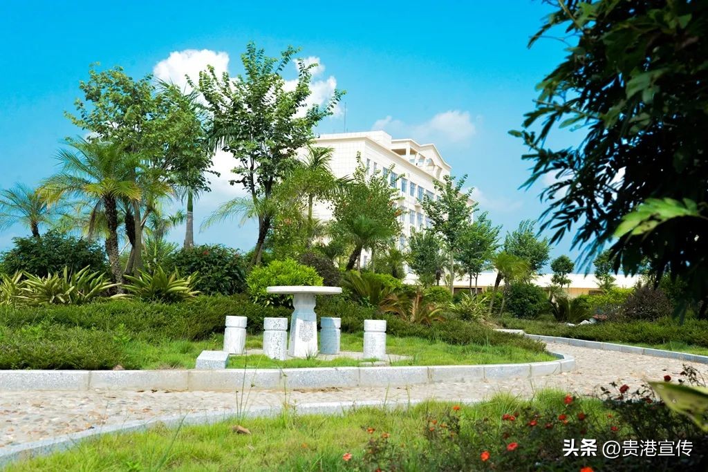 薪资超过一万的岗位,月薪8000的公司