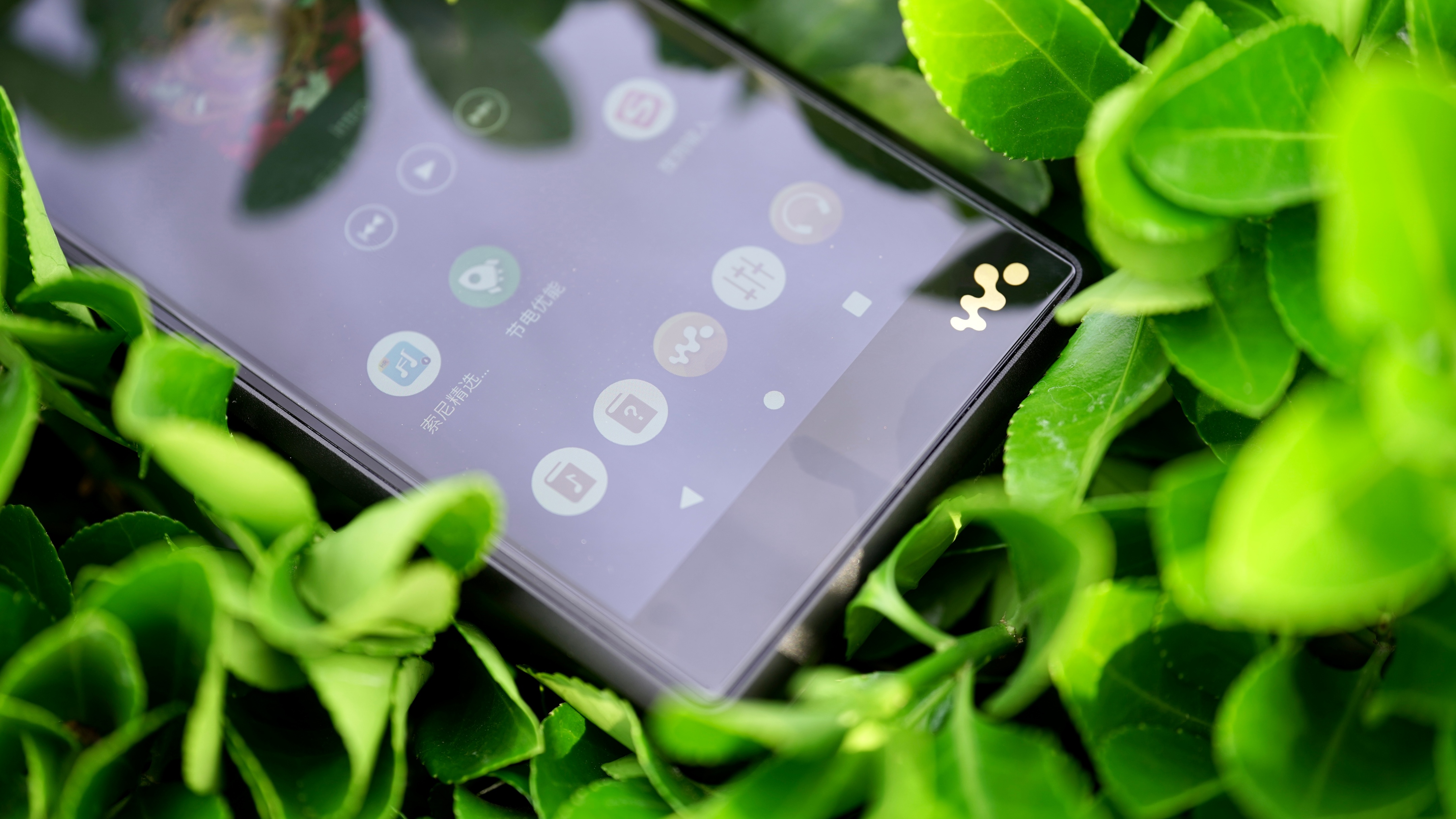 索尼walkman单放机,索尼walkmanwm2