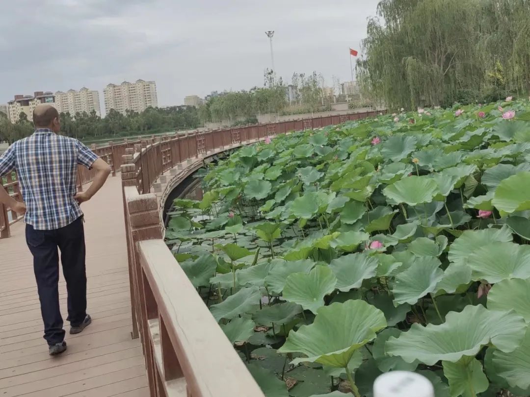 那些年的足球记忆,那些年世界杯带给我们的感动