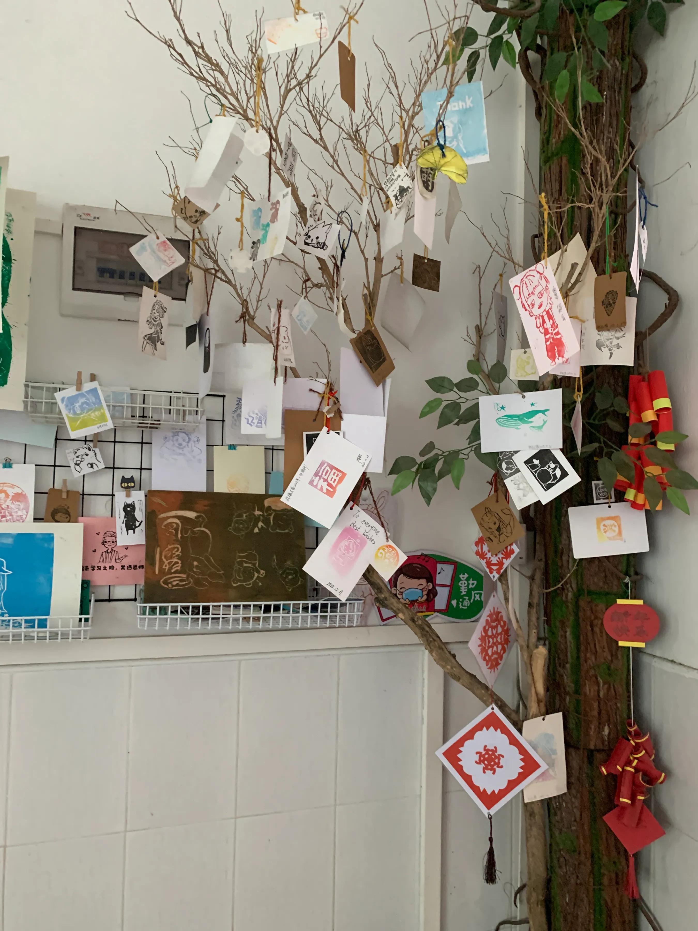 美丽的凤凰小学,林中凤凰小学