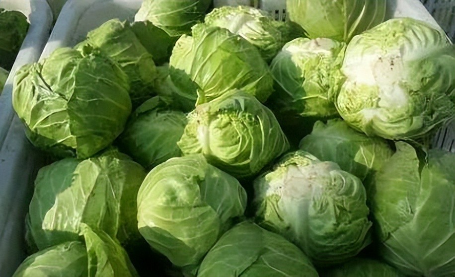 胃病胃疼能吃豆腐吗,养胃常识胃病为什么不能吃豆制品