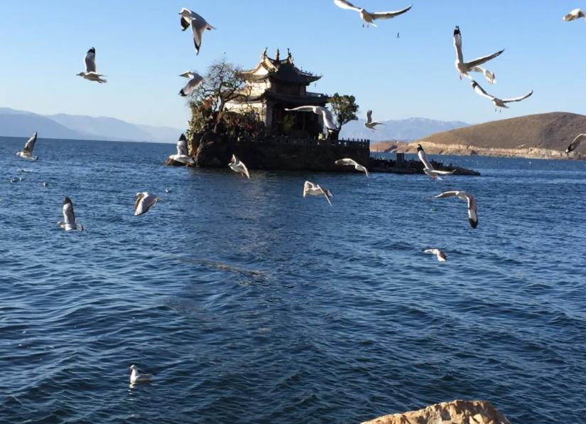 梦中洱海旅游攻略,洱海东部游玩路线