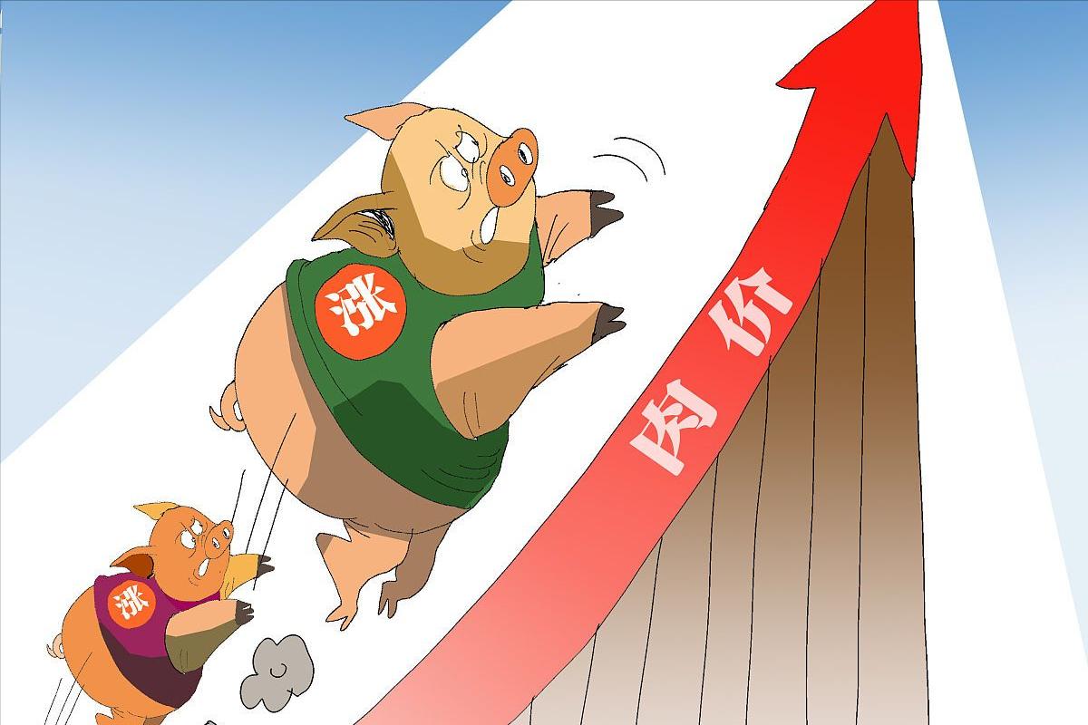 涨涨涨！生猪价格“一片红”，南北市场“齐上扬”！6月16日猪价