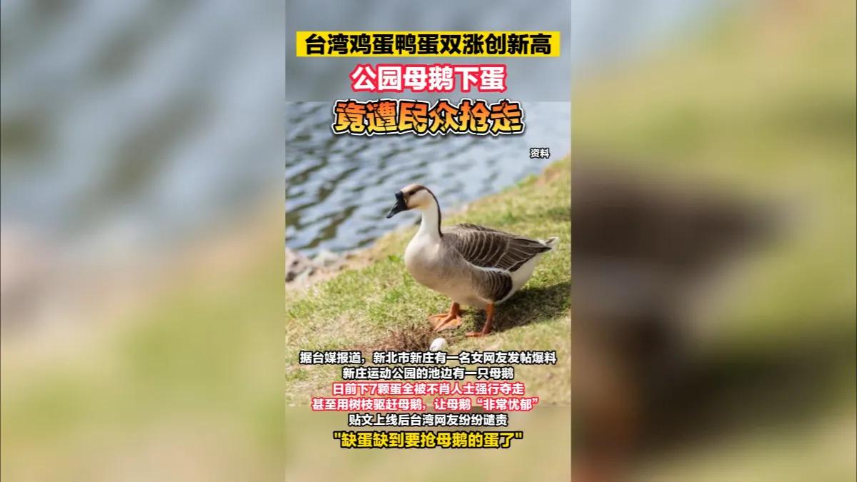 离谱，极度缺蛋的台湾人竟然把黑手伸向它