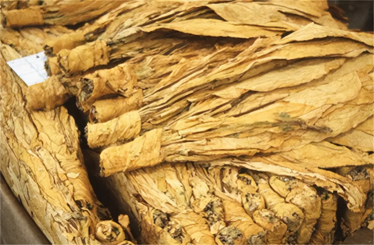 草烟坏处,草烟对身体有害吗