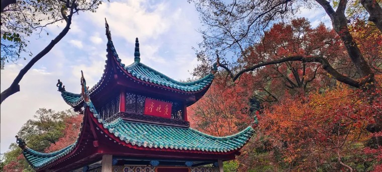 36个技巧助您手机拍大片,学会这7点轻松拍大片