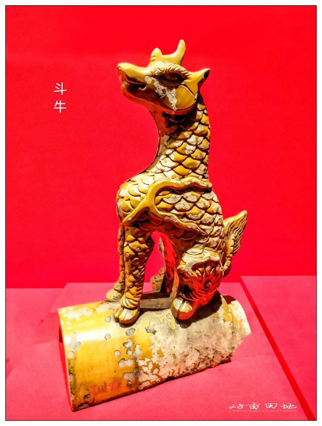 故宫600年-丹宸永固