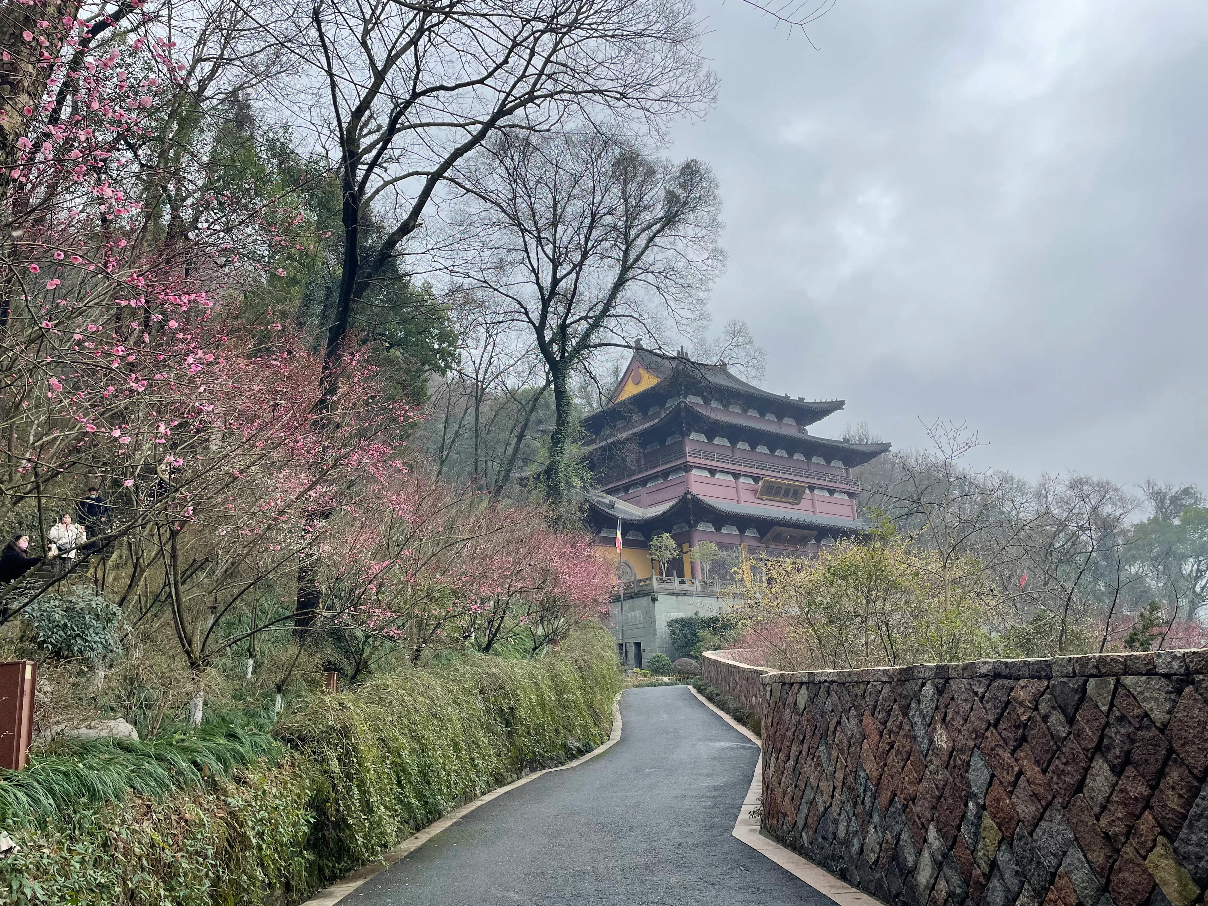杭州一日游跟团游太湖,杭州西湖三日游旅游线路行程表