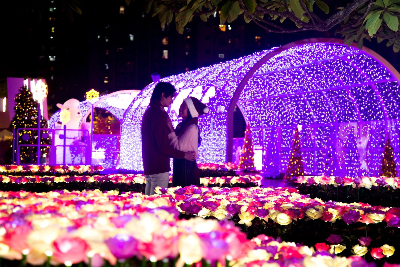 香港圣诞节打卡地超大圣诞树,香港圣诞氛围越来越浓了