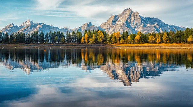 2023年十大网络热词,2023网络热词有哪些