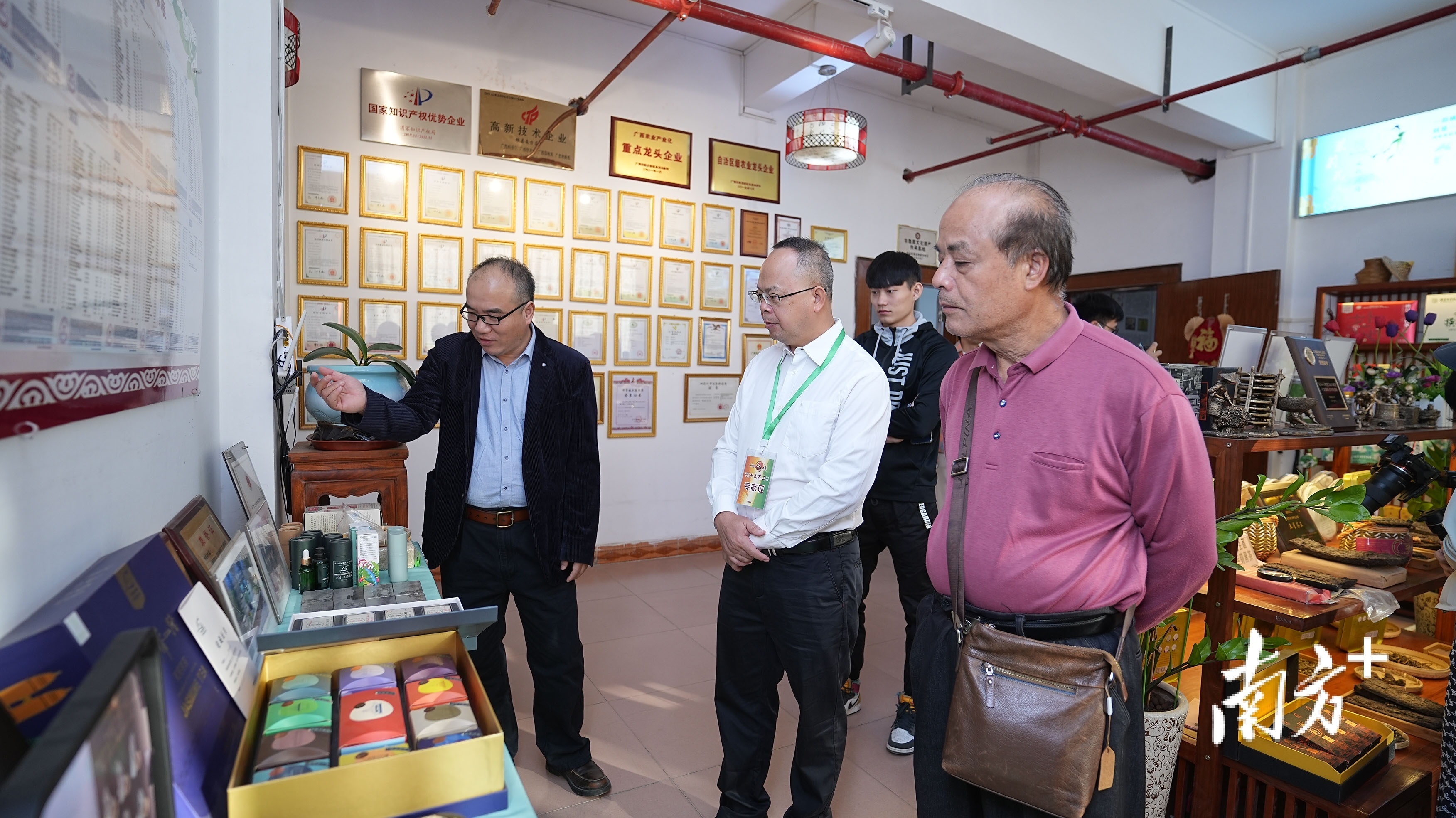 遇见横州：好一朵美丽的茉莉花｜中国十大茶王评比实地考察②