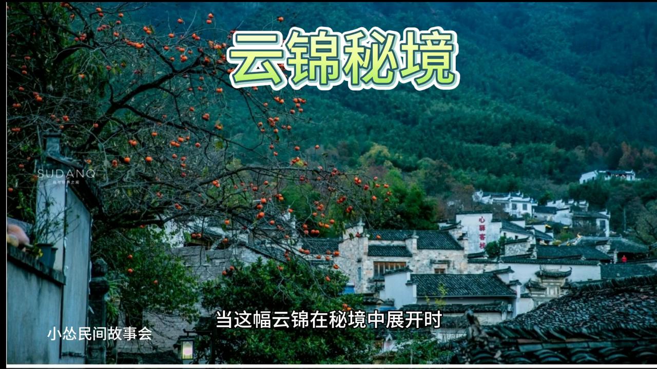 中视频伙伴计划入口,中视频伙伴计划官方