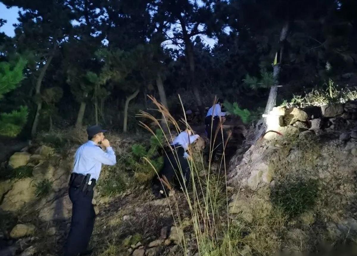 吃野生斑鸠其实对人有害？连筑巢都不会的斑鸠，究竟如何繁殖的？