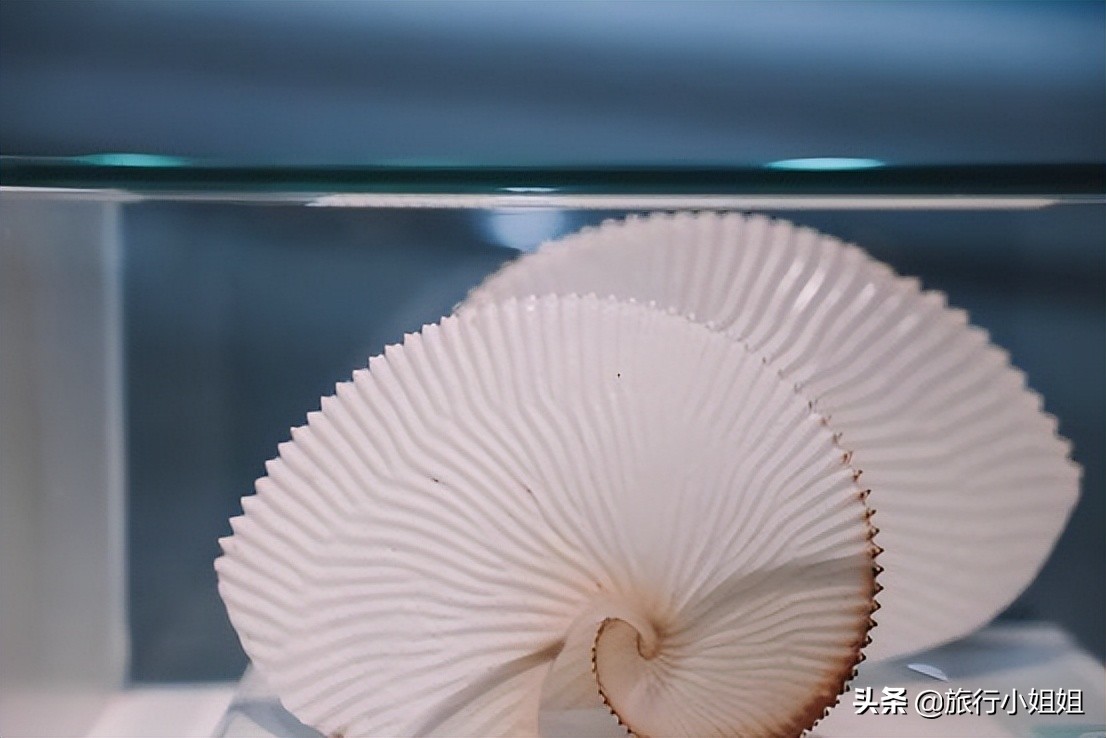 夏日海边浪漫迷人,滨城风光秀丽浪漫气息爆表