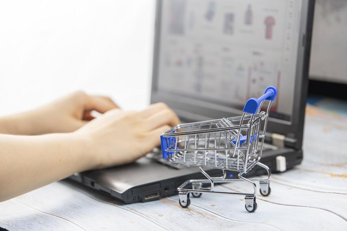 通过网络订立买卖合同司法解释,网络服务合同和网络购物合同