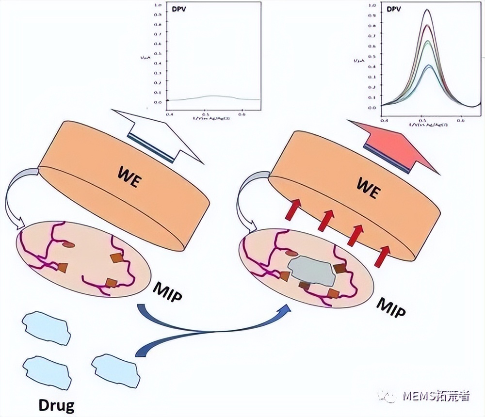 基于电位计的生物传感器进行生物标志物检测的研究进展（下篇）