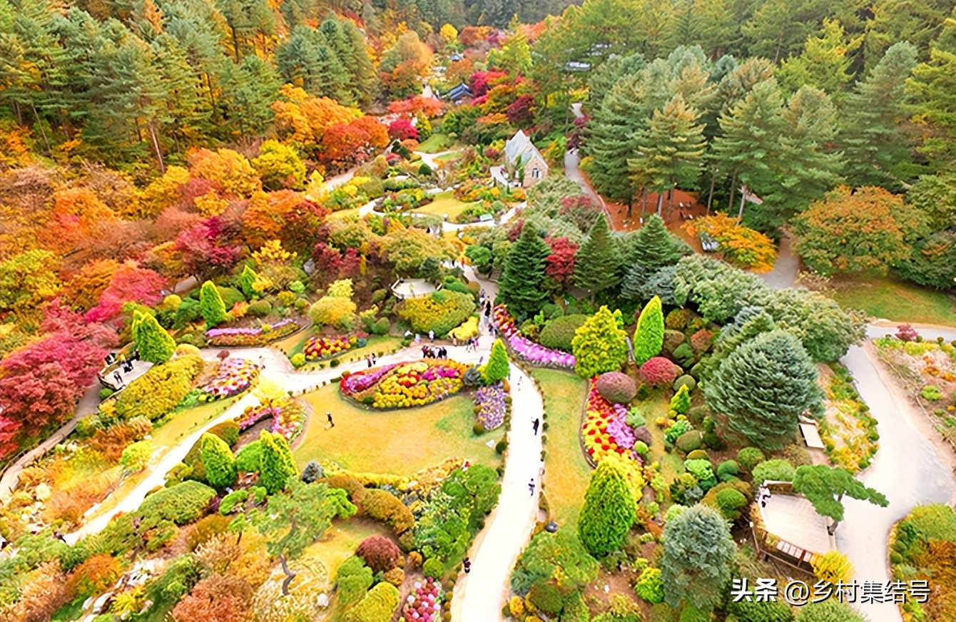 韩国晨静花园,韩国晨静树木园设计方案