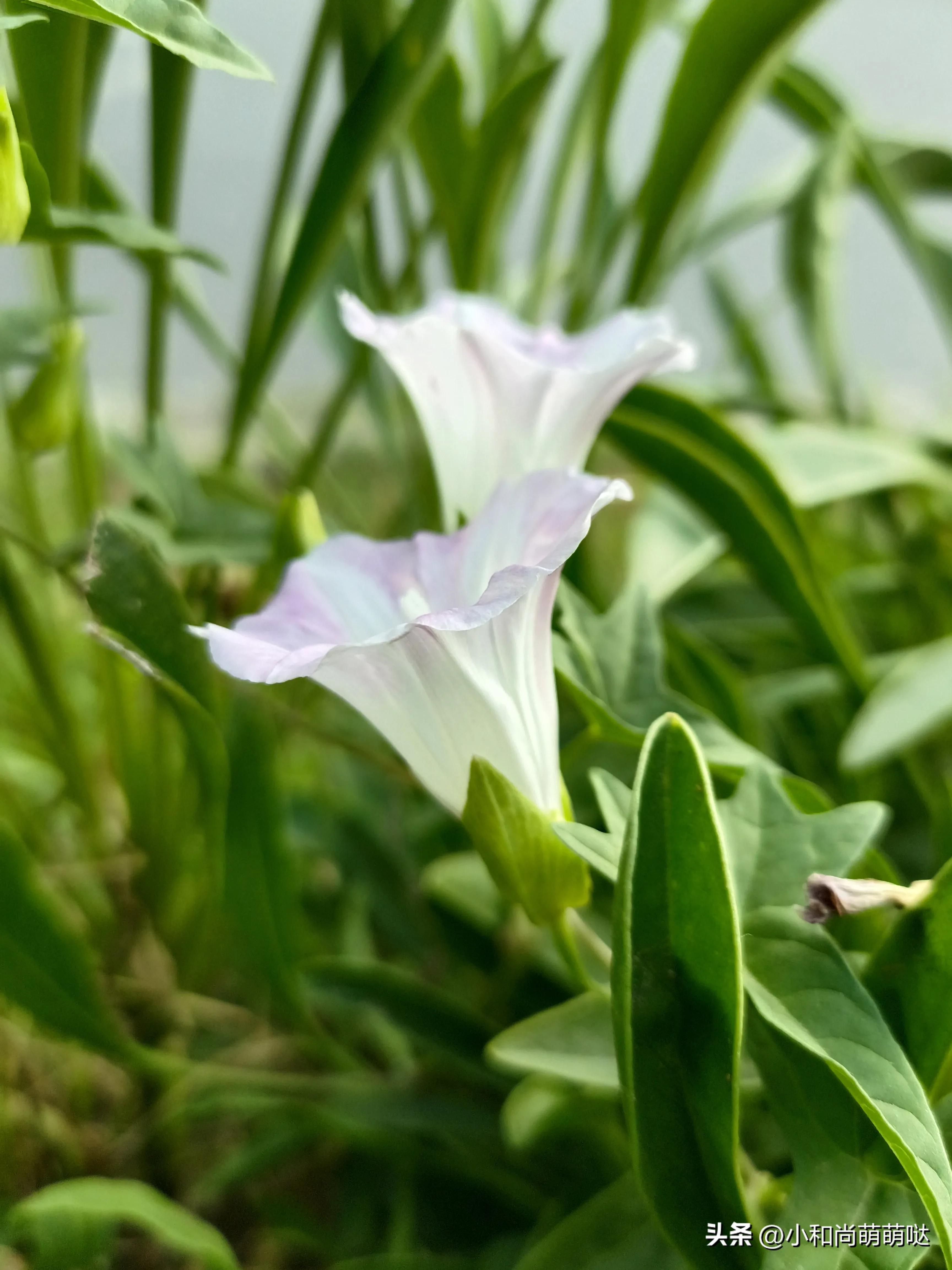 结婚早上吃席是什么礼数,喜宴吃席什么讲究和礼仪