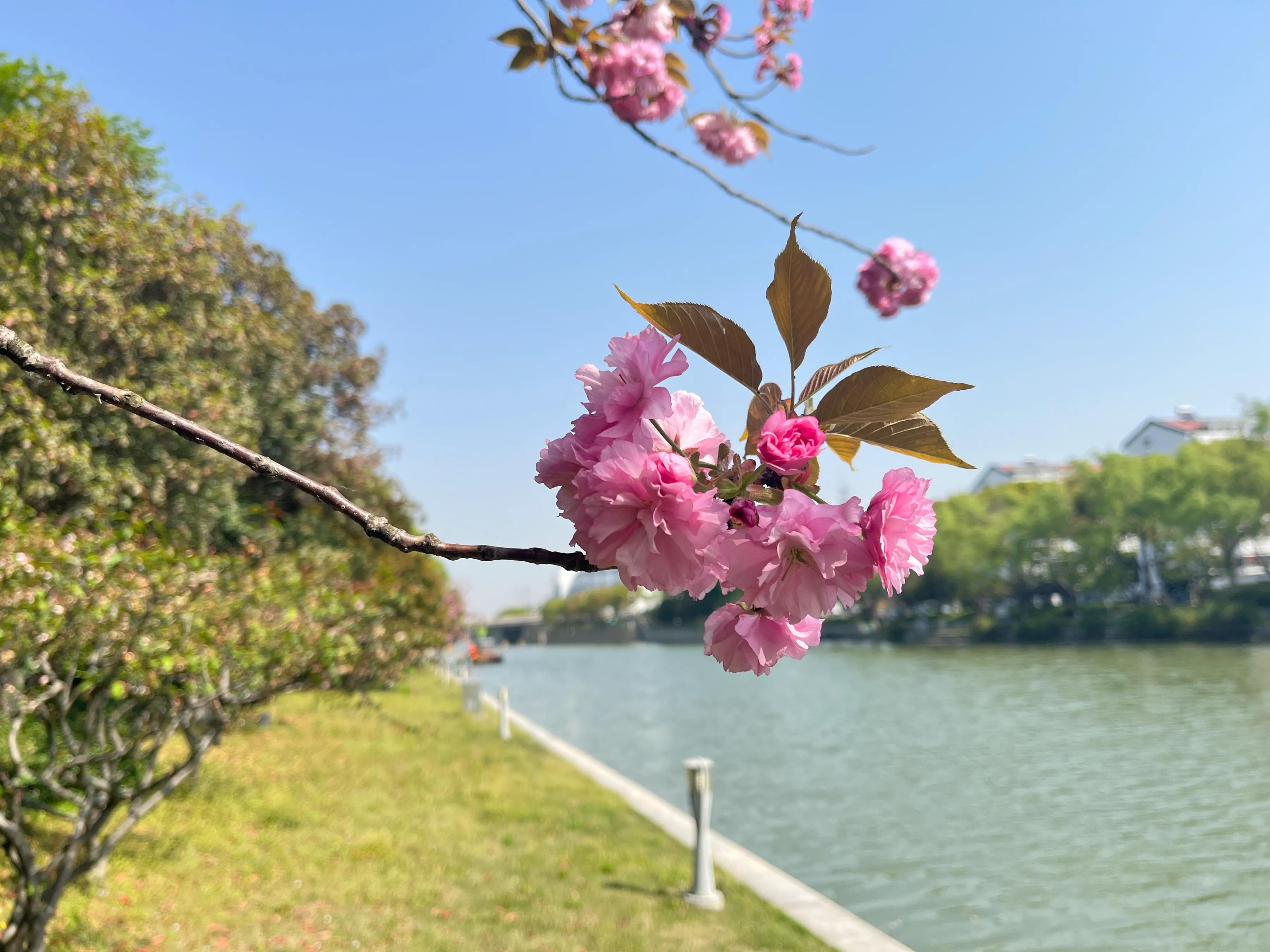 手拍世界近期作品,手拍世界完整版视频