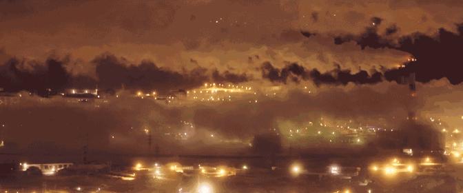 海洋动物如何适应海洋生活,海洋动物为什么能适应海水