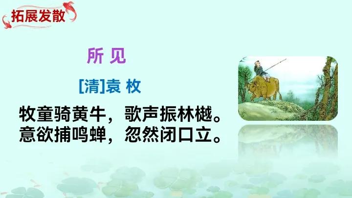 一年级下册语文古诗二首12课,一年级语文下册11课古诗二首讲解