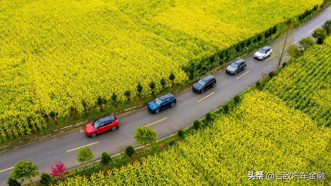 冬季汽车贴膜容易起泡吗,汽车贴膜起泡能通过年审吗