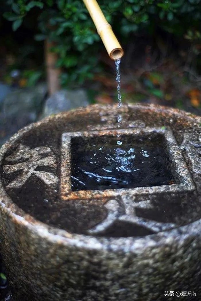 100句绝美春日诗词温柔又浪漫,微雨过小荷翻榴花开欲然