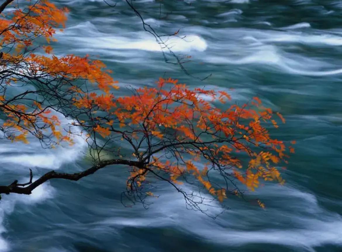 心理学有趣的小法则,三个心理学小技巧交给你