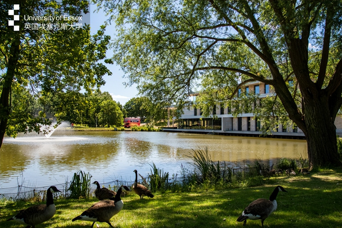 英国埃塞克斯大学中国联合办学,英国埃塞克斯大学跟国内合作