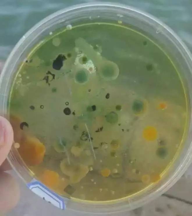 二氧化氯水产养殖使用注意事项,二氧化氯在水产养殖中的使用方法