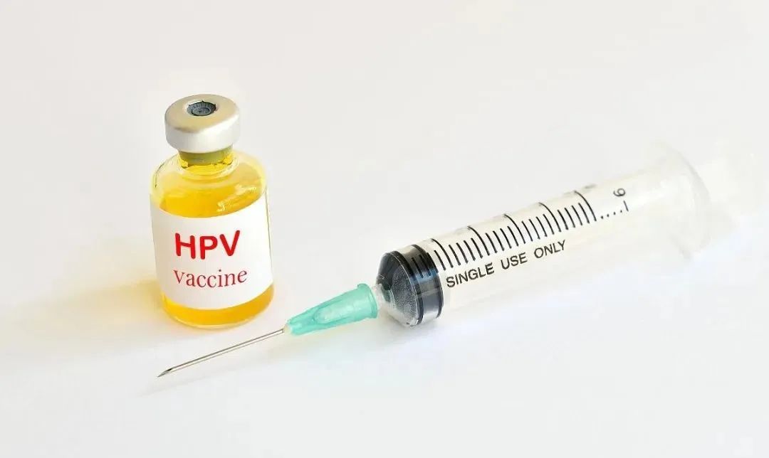 HPV感染相关的妇科疾病，抗HPV生物蛋白敷料带你了解