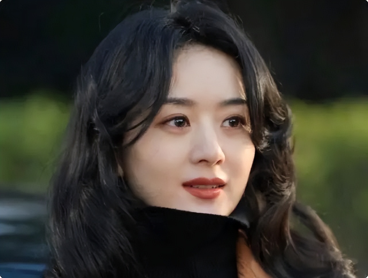 张兰是女强人吗,女强人张兰简介