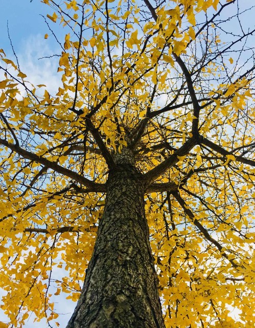 微信怎么退出群聊不删除聊天记录,微信如何加入已退出的群聊