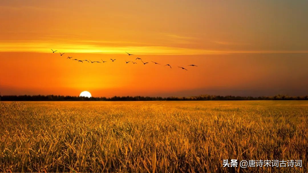 她贵为神界女仙，天生*物尤**，遇见不懂情爱的书生，终究无计可施