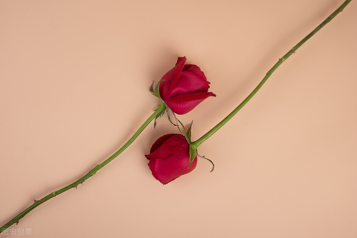 起cp名字生成器,取cp名在线生成器