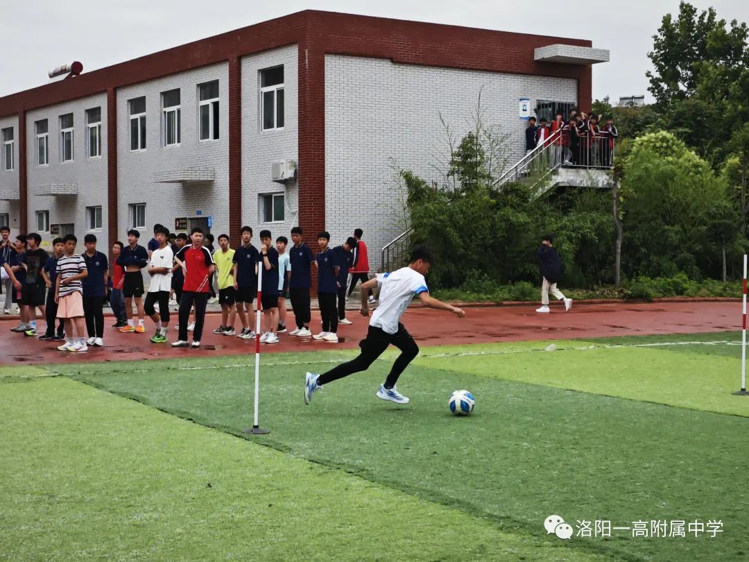 运动健儿展风采,运动展风采视频