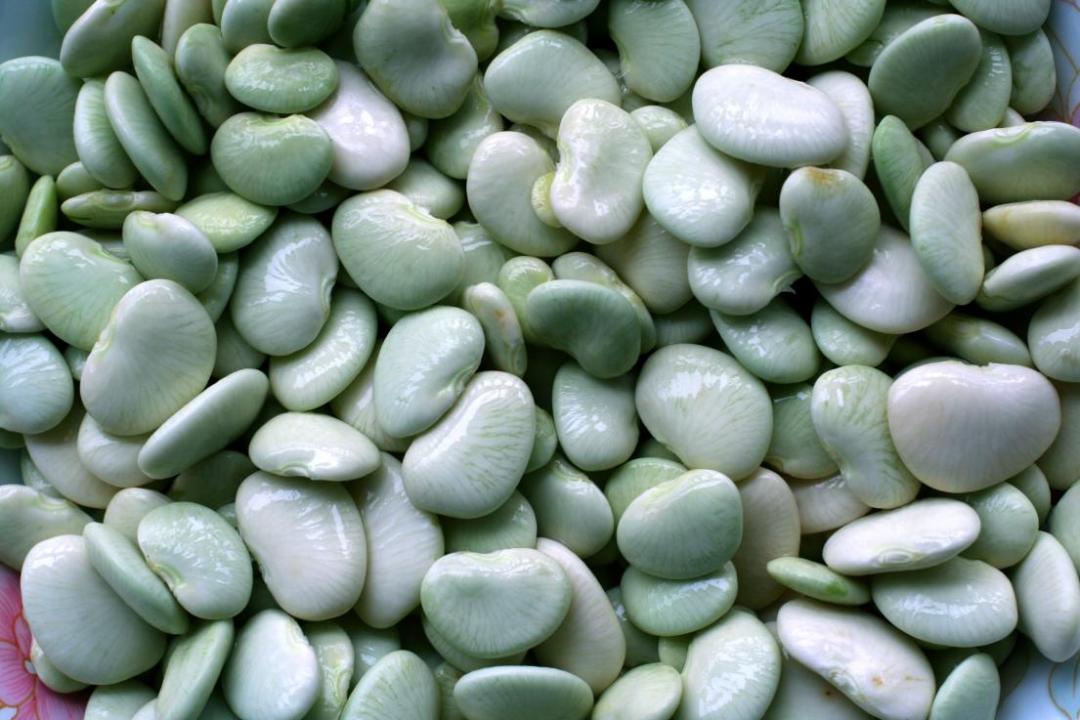 全球学子嘉游赣|中国博士县、世界台球城，一文带您游遍玉山县