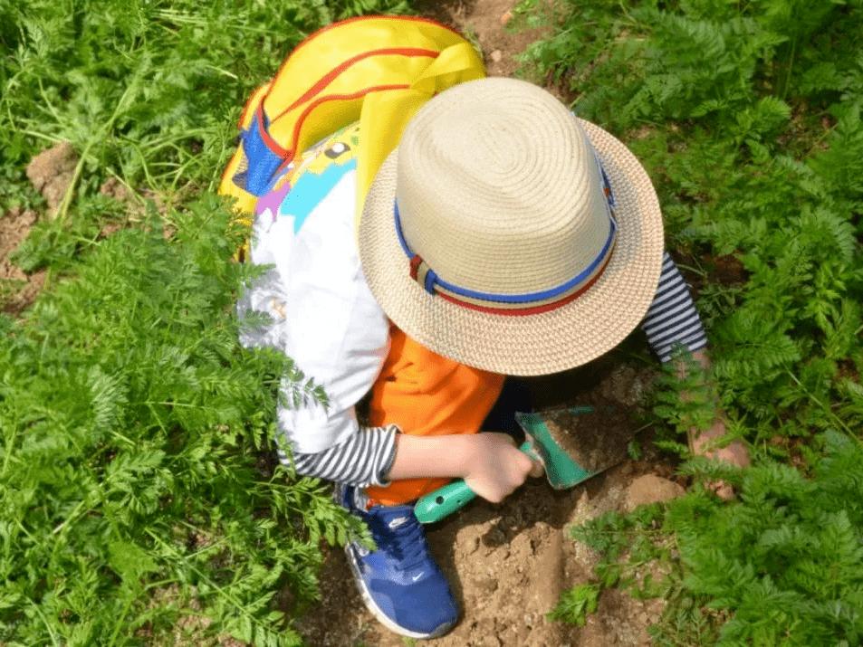 张家港农场网红打卡,周边农场网红打卡点创意