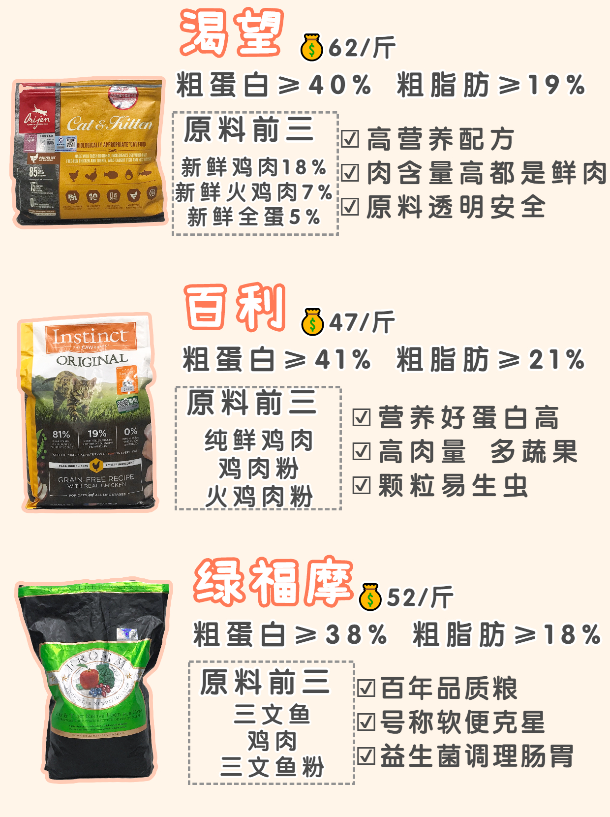 新手养猫攻略挑选健康猫咪篇,养猫最好选什么猫粮