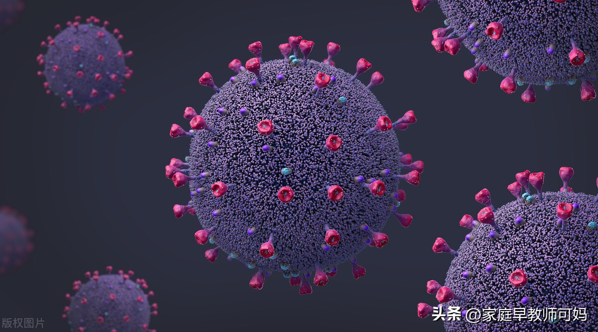 李兰娟谈新冠疫情,中国新冠病毒女专家李兰娟