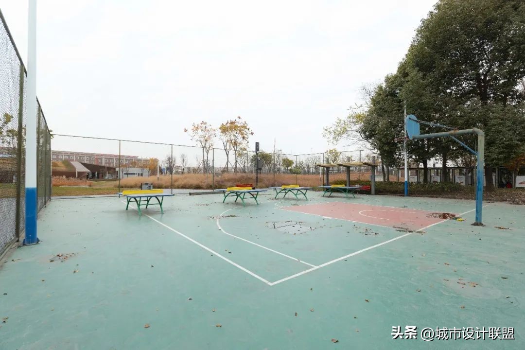 成都值得一游的公园,夏季成都宝藏公园