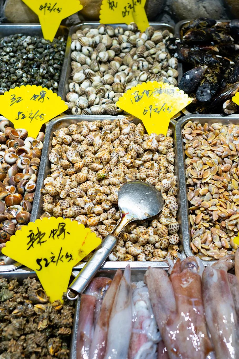 沙蒜冷门小海鲜,望潮最好吃的海鲜