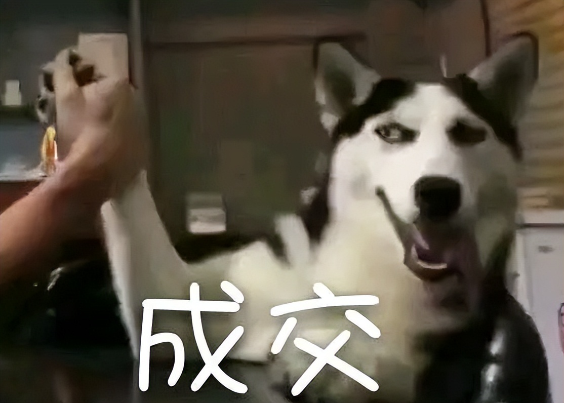 第一次世界大战是怎么打起来的,第一次世界大战波兰被打的原因