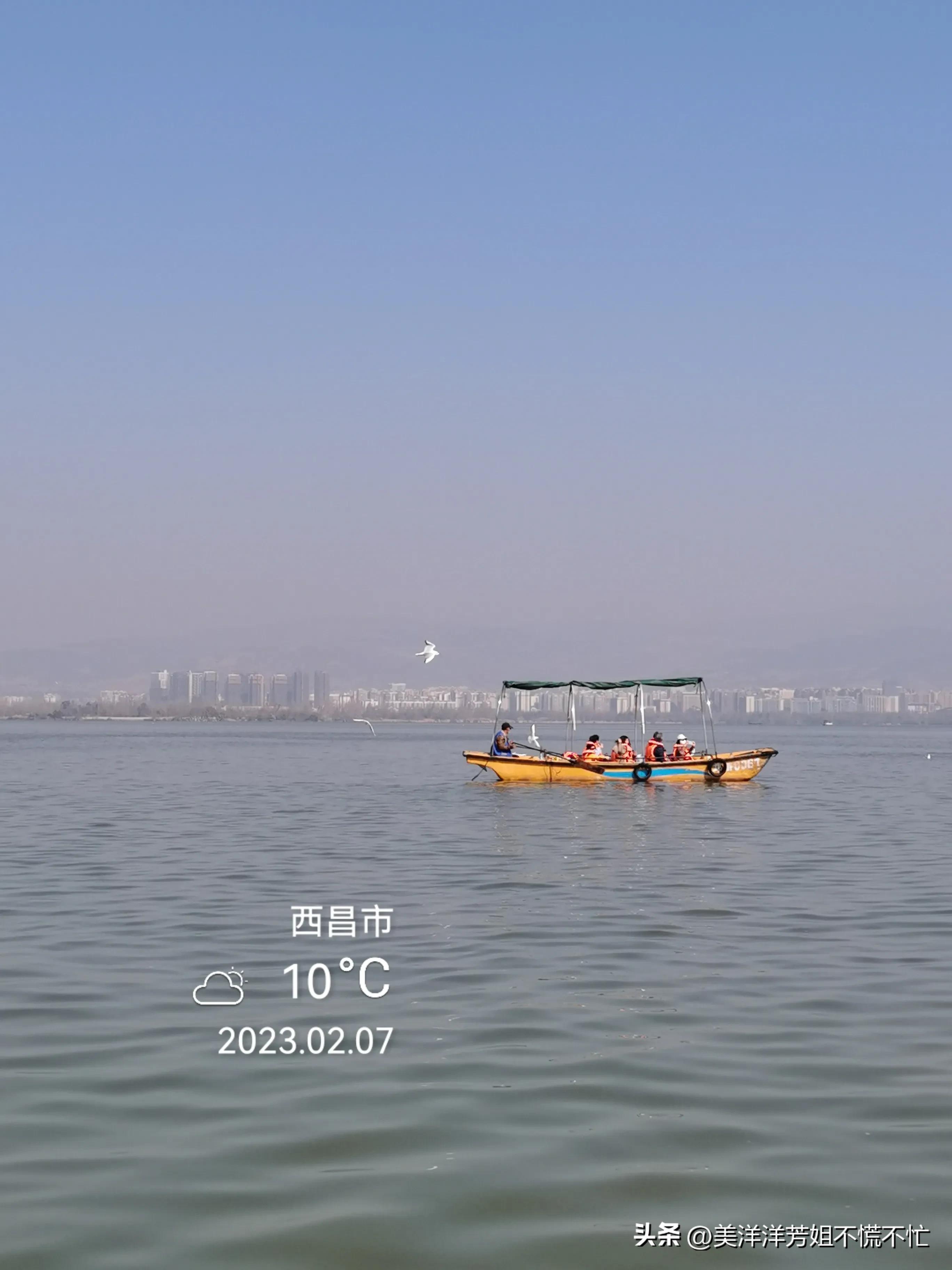 西昌邛海什么时候有海鸥,冬季去西昌邛海喂海鸥